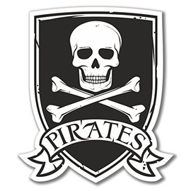 2 x 10cm/100mm Pirate Jolly Roger Vinyl Sticker Decal Laptop Travel Luggage Car Bike Sign Fun #4080