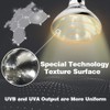 LUCKY HERP 100 Watt UVA+UVB Full Spectrum Vapor Heat Lamp