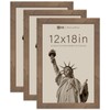 VCK 12x18 Poster Frame 3 Pack - Brown Walnut, Natural
