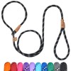 Petarea Petarea 5 FT Slip Lead Dog Leash, Heavy Duty