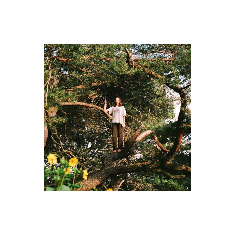 Melt The Honey [VINYL]