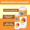 Peach Tree Fertilizer for All Peach, Nectarine and Stone Fruit