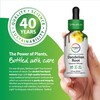 Rainbow Light Dandelion Root Extract Supplement | 2 Fl Oz