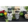 Servette Home 4 Pack Iridescent Skull Shaped Mason Jar with