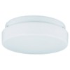 Generation Lighting 7926BLE-15 2-Light Fluorescent Ceiling Fixture, Acrylic White Diffuser