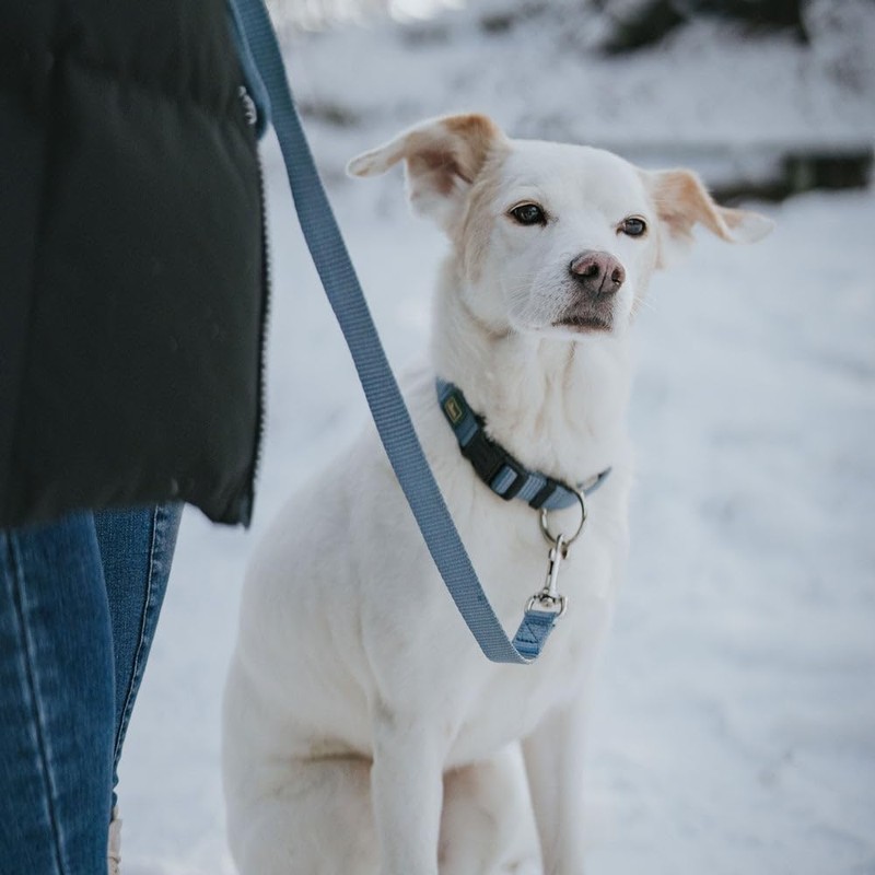 Hunter Vario Plus Nylon Dog Collar, 35/53 cm, Red