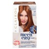 Clairol Nice'n Easy Repair Permanent Hair Colour, 6R Light Auburn,