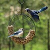 Black Wreath Coil Peanut Bird Feeder