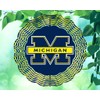 10 Inch Michigan Football Basketball Sports Hanging Wind Spinner Yard