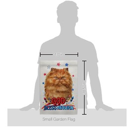 Breeze Decor Patriotic Tan Persian Garden Flag Set Wall Hanger Cat Kitten Meow Spoiled Paw Fur Pet Nature Farm Animal Creature House Banner Small Yard Gift Double-Sided, Made in USA