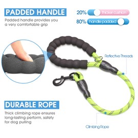 BAAPET 60/120/150/180 CM Fuerte Perro Correa con Cómodo Mango Acolacol e Altamente Reflecpara Hilos para Pequeños Medianos y Grandes Perros (60 CM-1.2 CM, Verde)