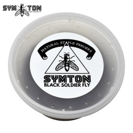 Symton Inc LARGE Black Soldier Fly Larvae (Feeding-Grade - 1,000 Large