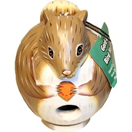Songbird Essentials SE3880086 Squirrel Gord-O Birdhouse (Set of 1)