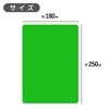 Memo Sheet, Underlayment, B5, Red and Green, 1 Each, Memory