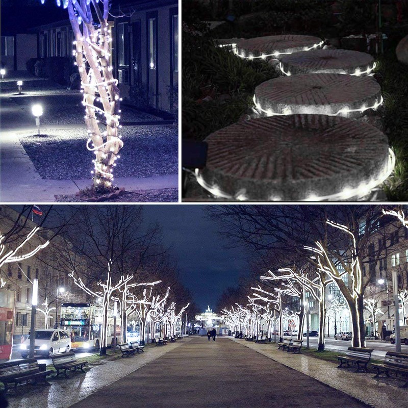 Solar Rope Lights Outdoor Waterproof LED Rope Lights 33Ft 100