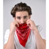 Unbranded Bandana Navy & Red Duo Pack