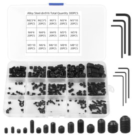 Pack of 300 Grub Screws Assortment M2.5 M3 M4 M5 M6 M8 Screws Set Carbon Steel Hex Screw Set with Allen Key with Storage Box (Black)