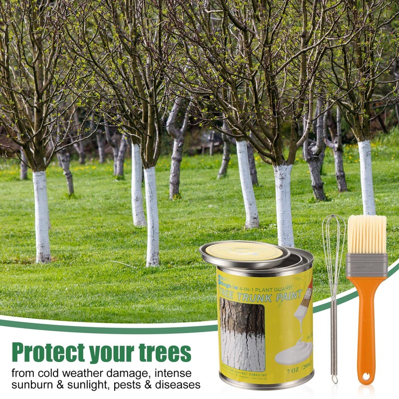 Singhoow Tree Whitewash Paint Tree Trunk Paint Kit, DIY Trees