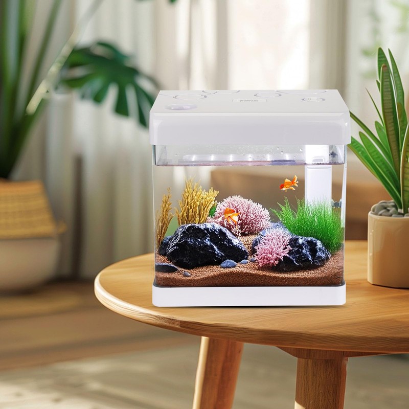 Small Fish Tank,5 Gallon Glass Aquarium Betta Fish Tank Starter