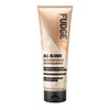 Fudge Professional All Blonde Color Lock Conditioner 250ml