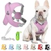 Patas Lague Dog Harness with Leash Set Adjustable Soft Padded