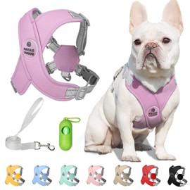 Patas Lague Dog Harness with Leash Set Adjustable Soft Padded Step-in Dog Vest No Choke No Pull Reflective for Small Pets with Poop Bags and Dispenser, Solid and No-chew, Purple XS