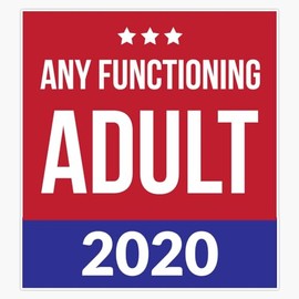 LAD Studio Any Functioning Adult - 2020 Us Election Sticker Bumper Sticker Vinyl Decal 5""