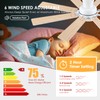Mpayel Ceiling Fans with Lights- 52" Low Profile Indoor Ceiling
