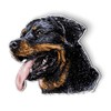 Rottweiler - Magnet - Car Fridge Locker - 5.5"