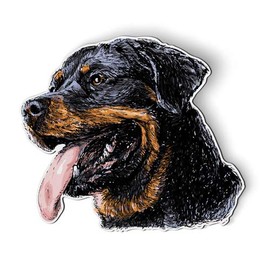 Rottweiler - Magnet - Car Fridge Locker - 5.5"