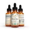 Khroma Herbal Products Organic Olive Leaf - 2 oz Liquid