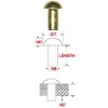 3/16" X 1/2" Solid Brass Round Head Rivet, .335 Head