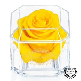 Eternal Petals Solo - A Real Rose That Lasts A Year - Perfect Unique Gift for Women, Men, Birthday Gift (Yellow)