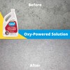 Carbona® Oxy-Powered Steam Carpet Cleaner | Professional Strength Deep Clean