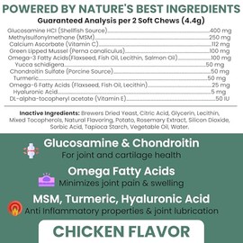 Chew + Heal Labs Glucosamine for Dogs Hip and Joint Supplement - 60 Senior Dogs Mobility Soft Chews - Made with Glucosamine, MSM, Chondroitin, Green Lipped Mussels and More - Made in The USA