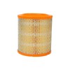 Frankberg Air Filter Replacement # 500038749