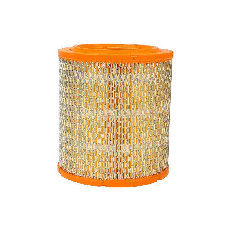 Frankberg Air Filter Replacement # 500038749