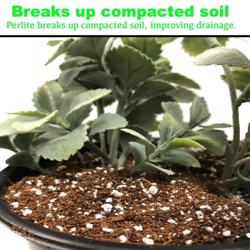 Viagrow 4 Cu. Ft. Perlite , Green for house propagation