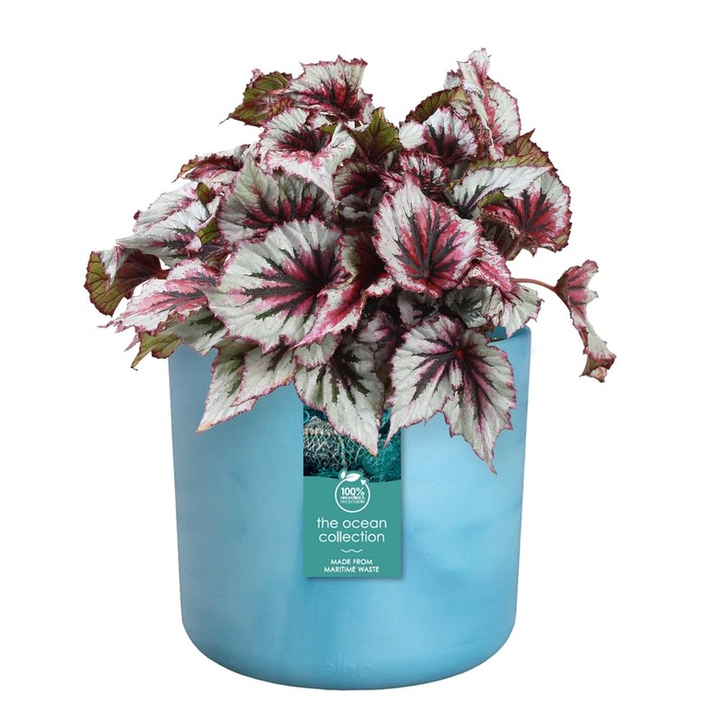 elho The Ocean Collection Round 22cm - Flower Pot Indoor
