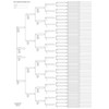 10 Blank Pedigree Charts for Genealogists (8 generations/256 names per