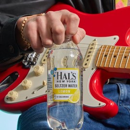 Hal's New York Seltzer Carbonated Lemon Flavored Sparkling Water, Zero Sugar, Zero Calorie, Zero Carbs, 20 Fl Oz (Pack of 12)