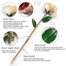 Sinvitron Gold Dipped Rose 24K Real Rose, Long Stem Hand Dipped in 24k Gold Rose,Unique Romantic Gifts for Women in Her Birthday, Anniversary,Valentines Day, for mom (White)