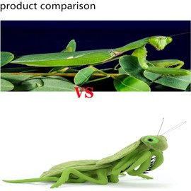 Arthropod Mantis Plush Toy, Cute, Realistic Mantis Plush Toy, Fun Toy Gift for Children, Fluffy Soft, Boys and Girls Models, Body Pillow, Cushion, Birthday, Celebration, School Entrance Celebration,