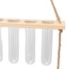 3 Tiered Wall Hanging Plant Terrarium with 12 Test Tubes