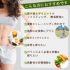 SoyVegePROTEIN 15 Packets, Plant Fermented Extract, Lactic Acid Bacteria, Bifidobacteria