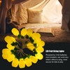 9.8ft 20LEDs Fruit String Lights Battery Operated String Lights for