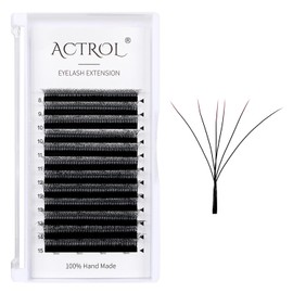 W Eyelash Extensions 6D Volume 0.07C Curl 8-15mm Mix Easy Fan W-shaped Lash Premades Cluster Black YY Lash