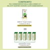 Dr. Giorgini FICO (Ficus Carica) Gemmoderivato Concentrato Liquido Analcoolico -