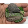 WitnyStore Tiny Kiwi Flightless Bird New Zealand Australia Oceania Tourist
