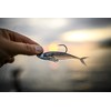PowerBait The Champ Minnow HD Bluegill 3.4in | 8.5cm